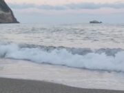 Una tartarughina Caretta-caretta è nata alla spiaggia di Citara a Forio. Si creca adesso di individuare la nidiata per proteggerla